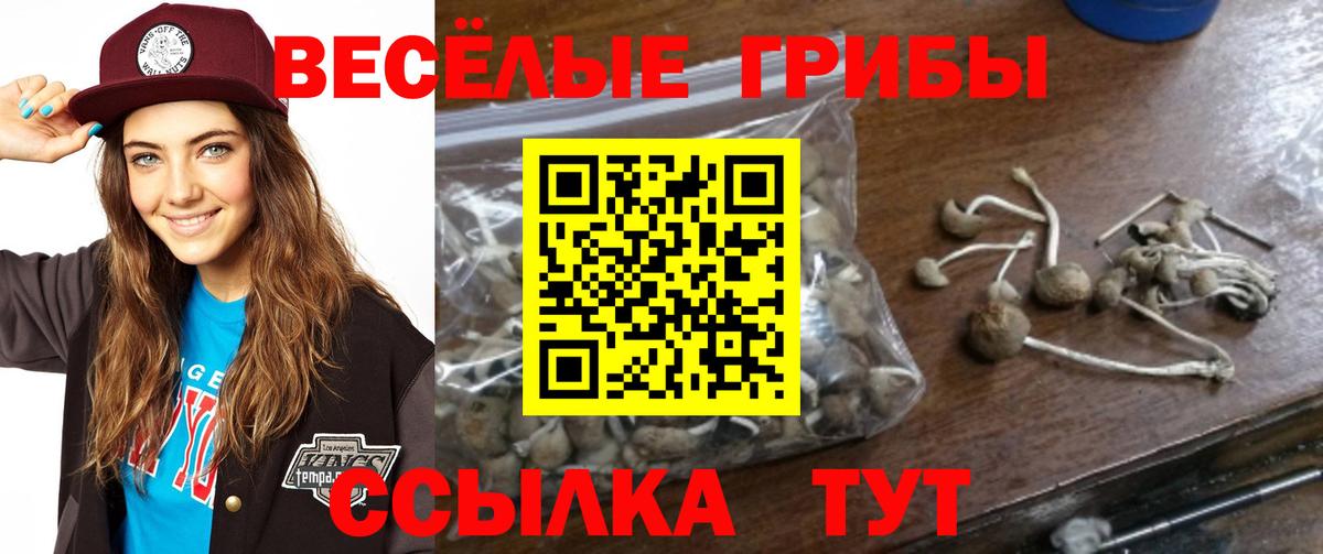 Галлюциногенные грибы Magic Shrooms  Псилоцибиновые грибы мицелий  Вход с VPN  Свободный 